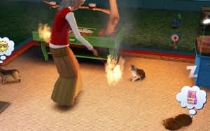 cat playing on fire